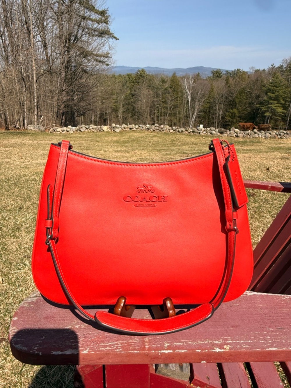 Coach Penelope Shoulder Bag CP101